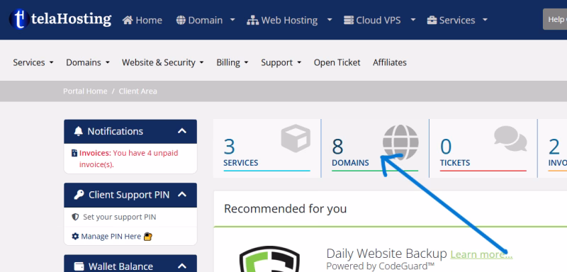 telaHosting cleint area