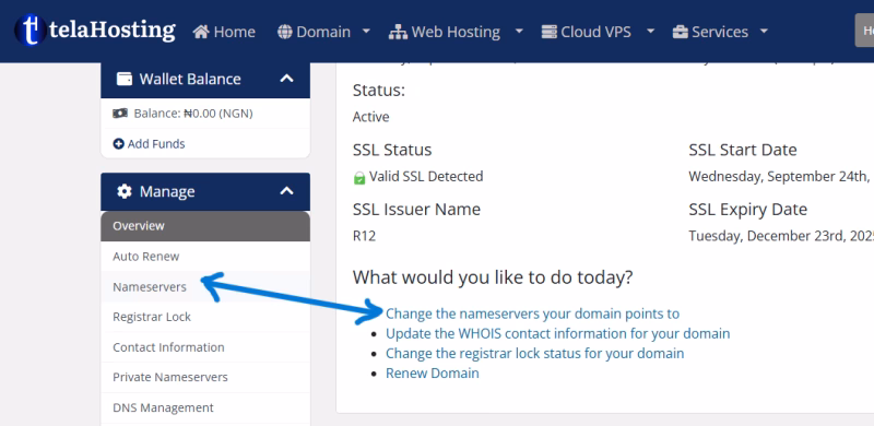 telaHosting Domain Management Page